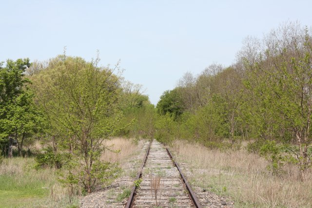 Manawa, Wisc., out of service track. Photo by Brian Buchanan.